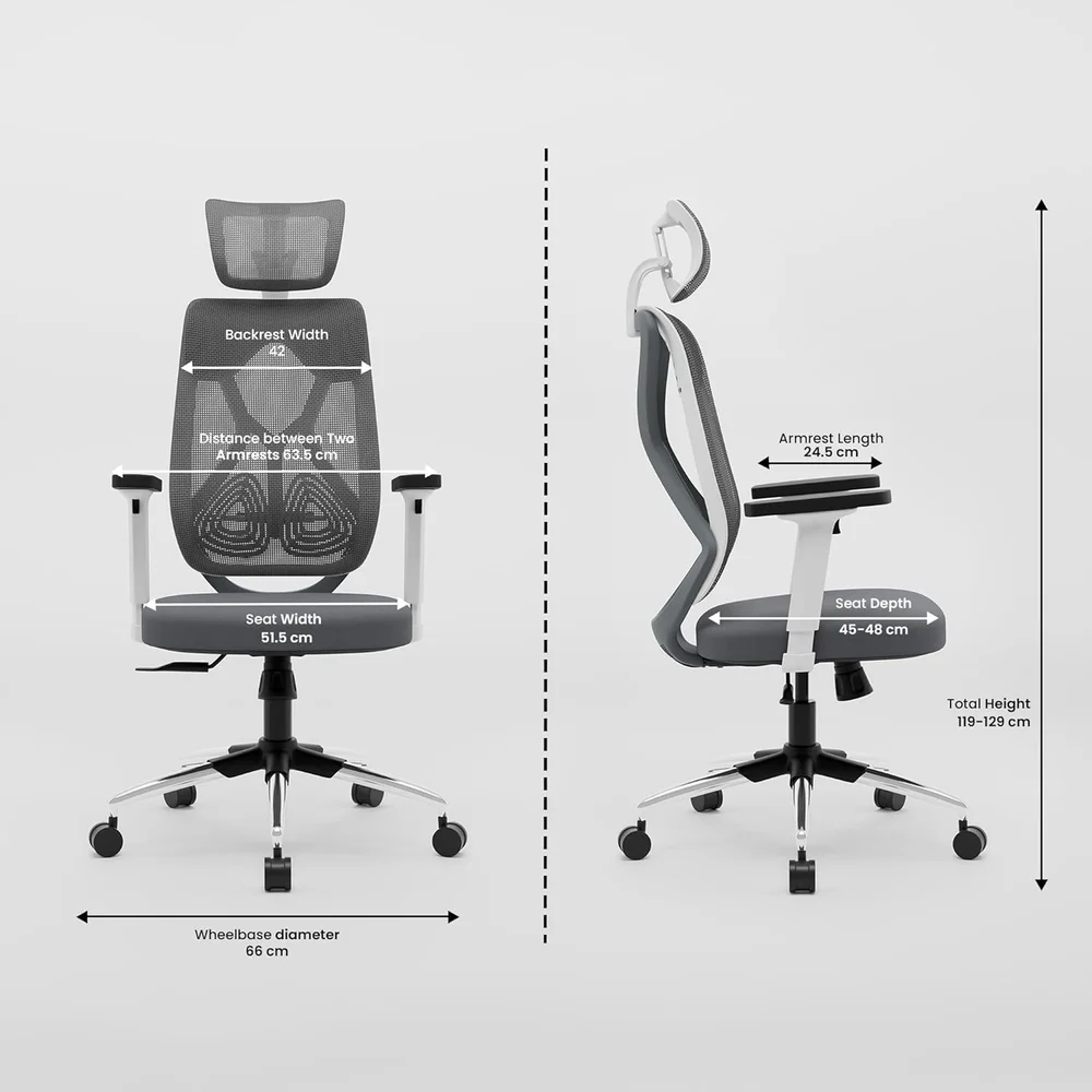 Zodiac Lite Chair - Back View